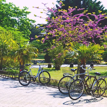 Village Oceanique * Le Bois-Plage-en-Ré