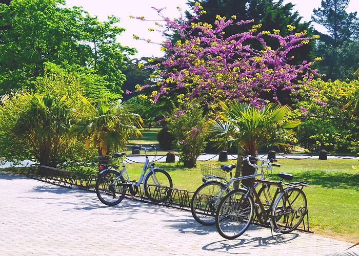 Village Oceanique * Le Bois-Plage-en-Ré